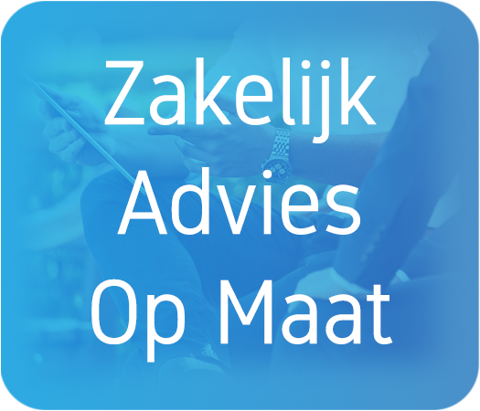 Zakelijk advies